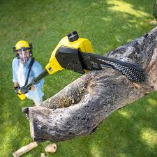 Lawn Watering Services in Annapolis Neck, MD