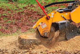 Best Lawn Drainage Solutions  in Annapolis Neck, MD