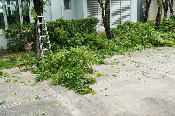 Best Tree Risk Assessment  in Annapolis Neck, MD